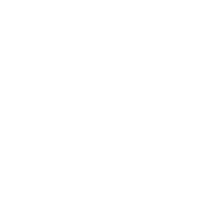 DK Korins