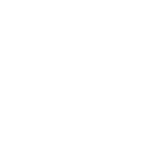 Jodi Piccoult