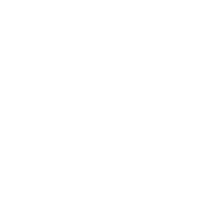 Paige Price Productions